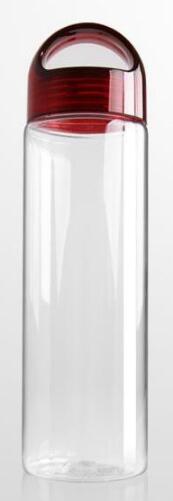 BAISPO 700ML BPA Free Plastic Fruit Infuser Water Bottle With Filter Leakproof Sport Drink Shaker Bottle