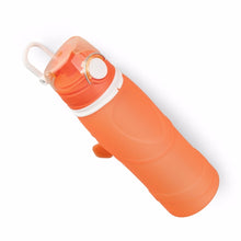 750MLCollapsible Silicone Water Bottles